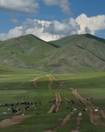 Mongolia Panorama